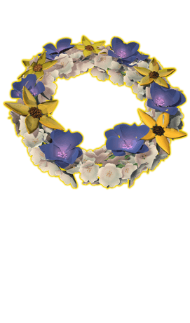 Carousel RewardImage 4