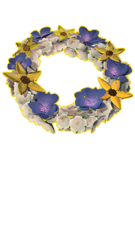 Carousel RewardImage 4